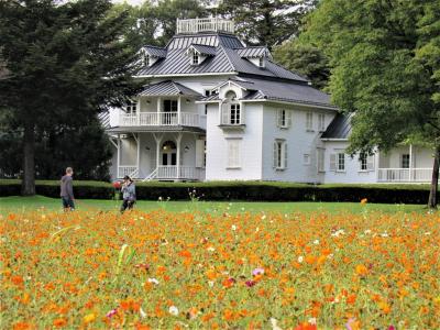 コスモスの花が咲く「旧青木家那須別邸」　2021年10月　那須塩原市