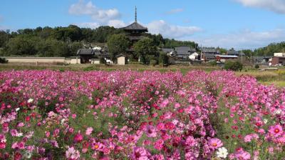 2021秋の奈良