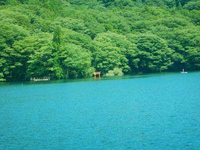 2021年夏の箱根旅行（その２）芦ノ湖、箱根関所、箱根神社