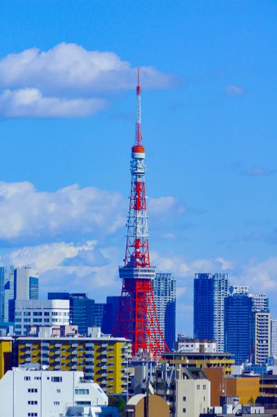 小春日和の中、代官山まで散歩