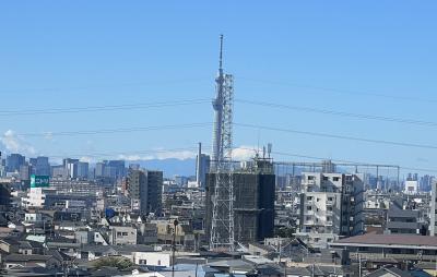 JR小岩側のイトーヨーカドーにて東京スカイツリー