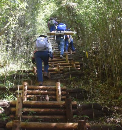 箱根　&#23643;風山　スコップ登山？？？