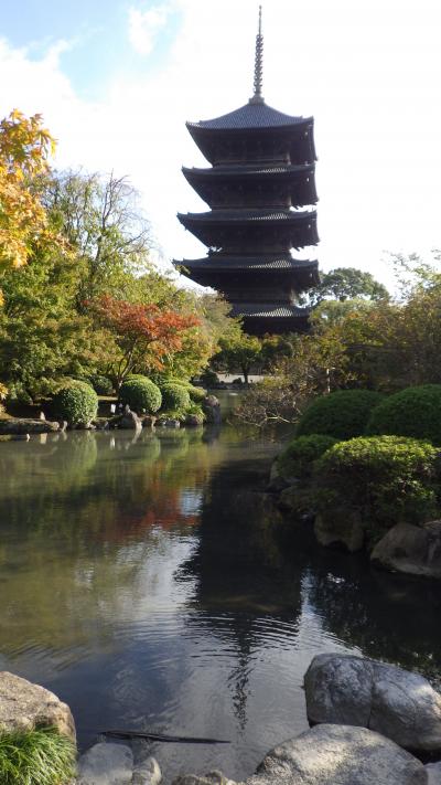 2021木枯らし一号　ちょっぴり寒い東寺