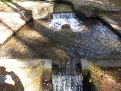 paypay「ともにがんばろう北杜！最大30％戻ってくるキャンペーン」の旅2021年10月