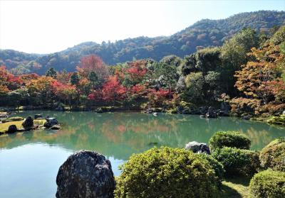 秋の京都・大阪（２）嵐山（竹林の小径、天龍寺）