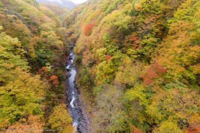 裏磐梯へ紅葉狩り