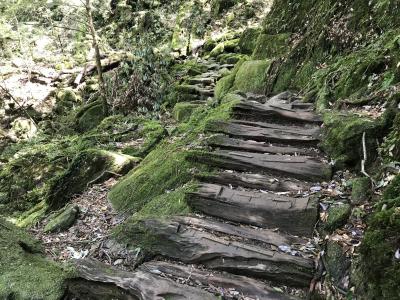 一年越しの屋久島（前編）