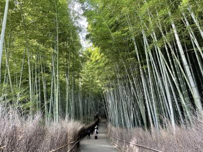ぷらり京都②　嵐山散歩、足湯でほっこり