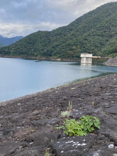 天候に誘われて徳山ダムへ