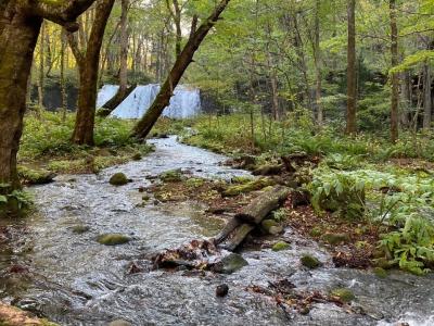 2021青森⑭：十和田湖、奥入瀬