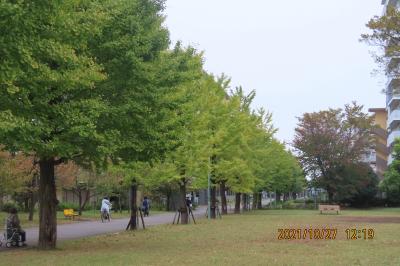 小雨の中、福岡中央公園を訪問しました