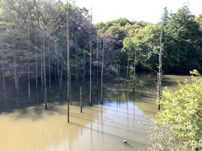 小山内裏公園を歩く