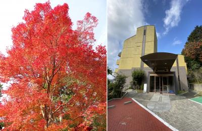 鍬山神社紅葉と有馬温泉・ポイントバケーション別荘体験