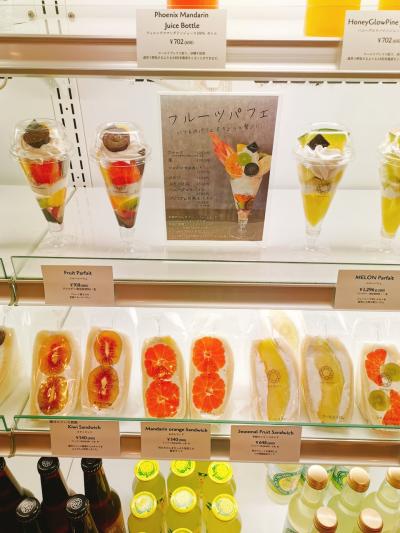 県境の町、島根県益田へ西なびグリーンパスで日帰り　フルーツサンドと特急スーパーおき