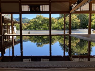 床もみじの宝徳寺