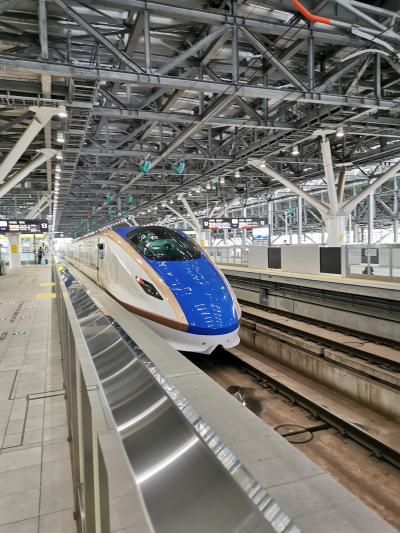 新潟県上越妙高駅へ西なびグリーンパスで日帰り　北陸新幹線と富山、金沢