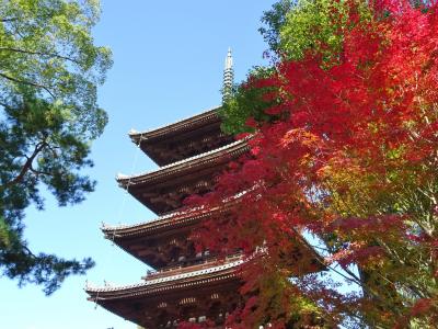 京のお散歩　　６　　仁和寺