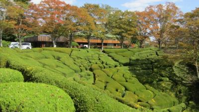 深まる秋を求めて県民の森へ！