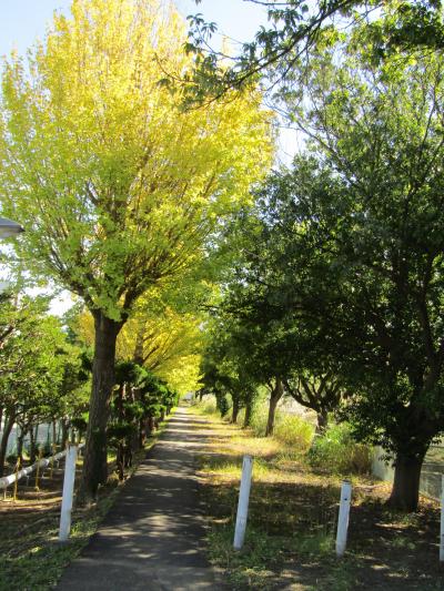 横浜にも秋の気配