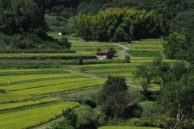 奈良県「日本の原風景」に関する旅行記・ブログ【フォートラベル】