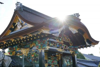 20211030-3 京都 西本願寺の唐門、修復終わったってんで観にいきましょ