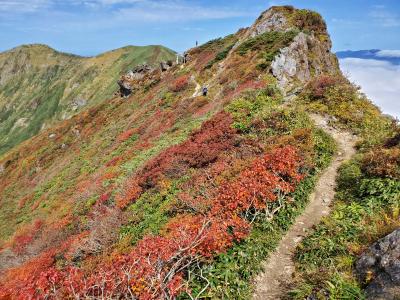 谷川岳　稜線の紅葉はピークで美しい