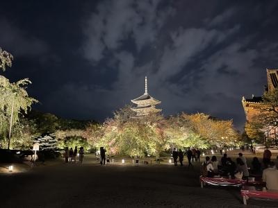 夫婦2人で日帰り秋の京都（京都市京セラ美術館・平安神宮・東寺）