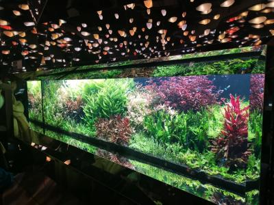 最新水族館神戸アトアへ！スヌーピーがいっぱいPEANUT HOTELに宿泊