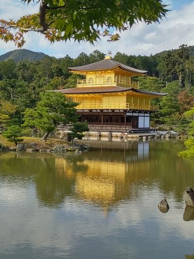 秋の京都旅行、観光と文化ふれあいの旅