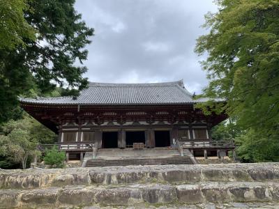 京都さんぽ　　和気清麻呂ゆかり、山の静けさの中の神護寺