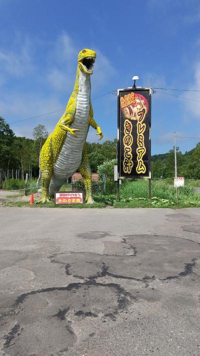 虚実の境をなぞる旅　（3）　北湯沢温泉～千歳