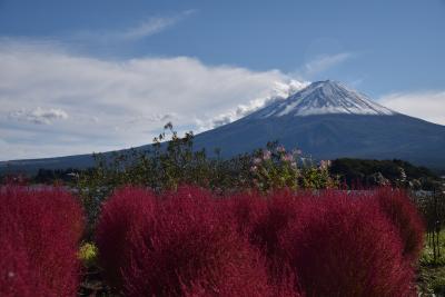 シニアの長野、伊豆、静岡時計回りの旅［２］　富士山周辺、川奈