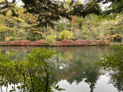 鬼押出し園から白糸の滝、そしてハルニレテラスから雲場池