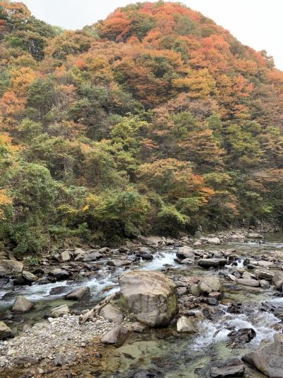 紅葉の岨谷峡を歩く