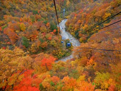 日本最長ドラゴンドラ(5481m,25分)で紅葉を楽しむ空中散歩　418km 23.6km/Lの旅