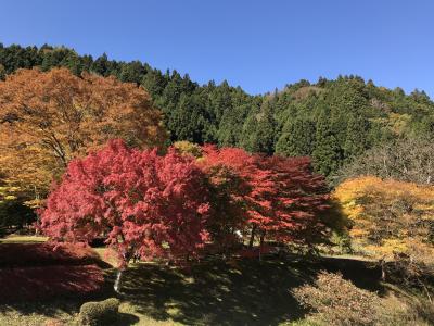 2021　ドライブで日光の紅葉