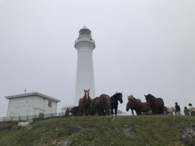 下北2日目は北限のサルと寒立馬に会ってきました＝2021年7月