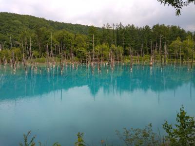 ANA今週のトクたびマイルで旭川黙旅　その4