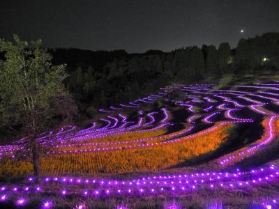 棚田のあかり　大山千枚田