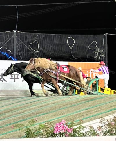  初秋の北海道 道南巡り④　ばんえい競馬 観戦～ 北の屋台で寛ぎ