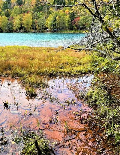 初秋の北海道 道南巡り⑥  阿寒摩周国立公園『オンネトー』～ 足寄(あしょろ)～ 狩勝峠