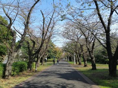 プールで泳ごう15　辰巳国際水泳場　さすがに満足