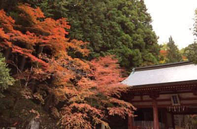 2021 11 高源寺 石龕寺  紅葉はこうよ！