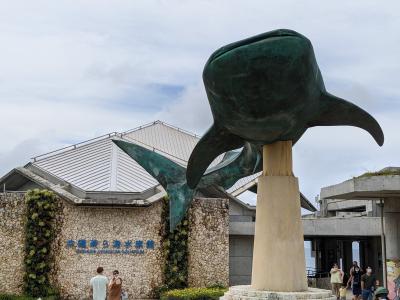 やっと！沖縄へ　1年ぶり(*^-^*)　美ら海水族館・備瀬埼・そして孫と遊ぶ