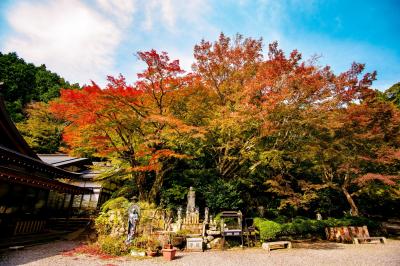 両子寺の紅葉　2021