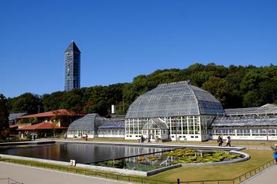 やっとかめ文化祭「植物園の歴史散歩~約7000種類の植物と84年の歴史をめぐる～