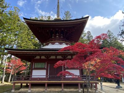 紅葉の高野山へ。