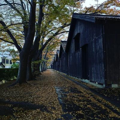 普段の行いがいい？絶景続きの旅。前半