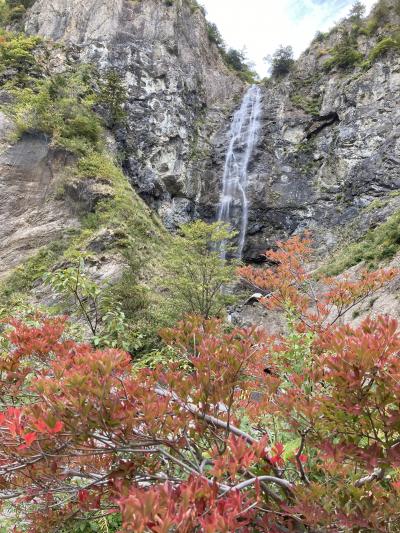 奇跡の白山ホワイトロード（3県の旅　1日目）