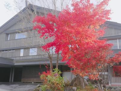 お気に入りの裏磐梯滞在～☆